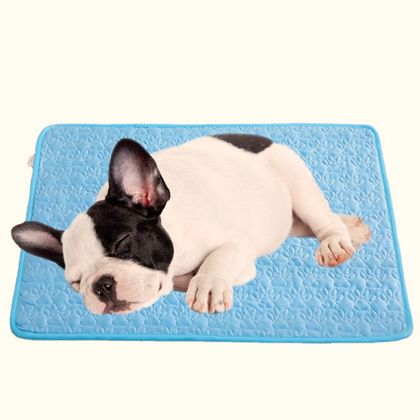 French bulldog lying on the paw-print mat